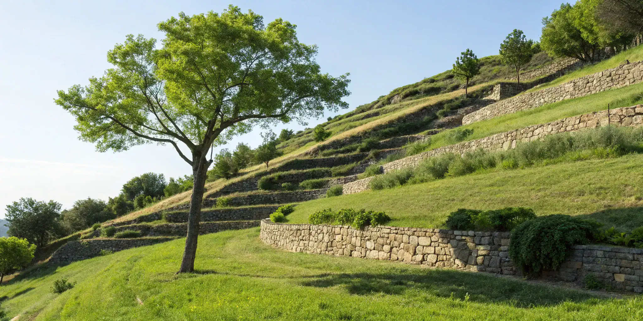 Stop Erosion Slope — Avari Foundation Repair Services